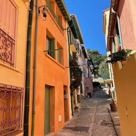 Appartement Dans Le Quartier Recherche Du Moure Κολιούρ Εξωτερικό φωτογραφία
