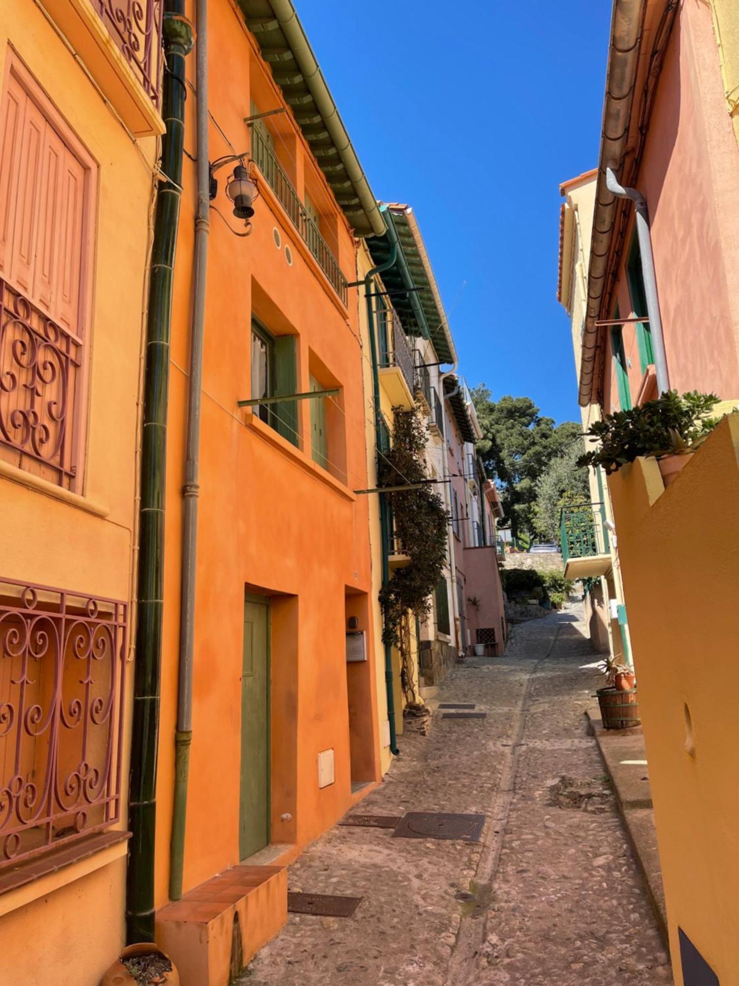 Appartement Dans Le Quartier Recherche Du Moure Κολιούρ Εξωτερικό φωτογραφία